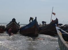 Kamsar/Pêche : Une embarcation de poissons fumés chavire et les pertes estimées à des certaines de millions de FG