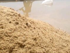 Gueckedou : Quand l’extraction du sable devient une activité économique pour plusieurs jeunes