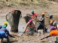 MAMOU/TIMBO: LA PÊCHE DE WANGAKO HONORE LES VISITEURS