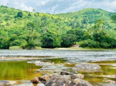 CÉLÉBRATION : LES ZONES HUMIDES À L’HONNEUR CE 02 FÉVRIER