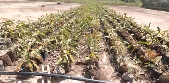 047b1ec2-0dbf-46ef-93f3-764dbca1c2c7