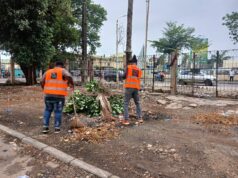 Conakry/Assainissement : « Fanta Mines Services» poursuit ses activités de nettoyage sans relâche