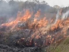 FARANAH/Gestion des risques et catastrophes : les comités de veille outillés